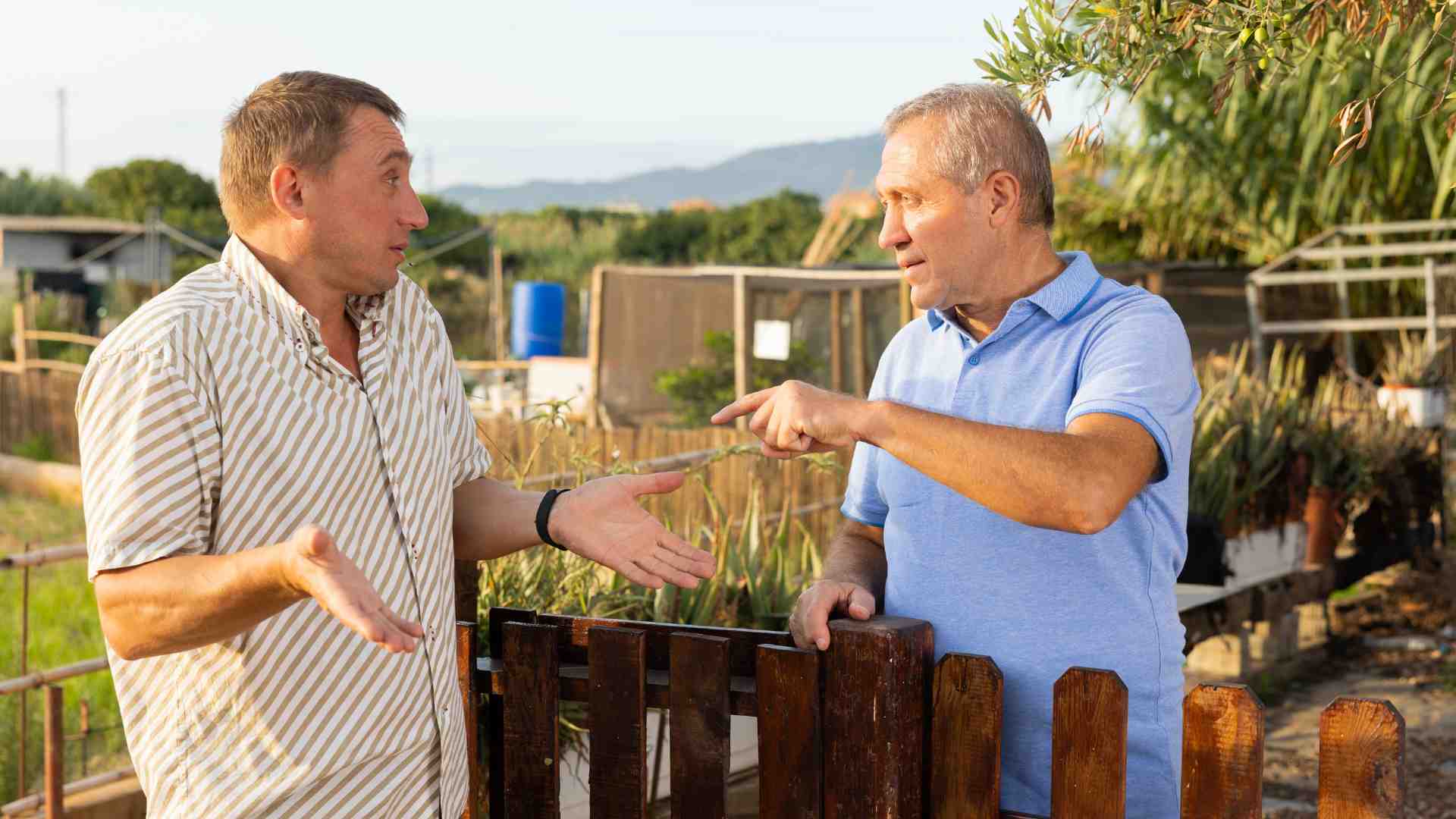 Derechos De Los Vecinos Colindantes