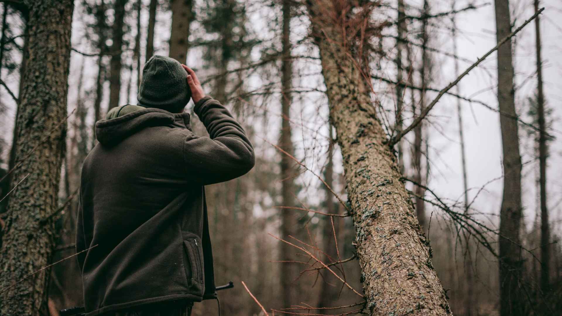 Trabajos Forestales