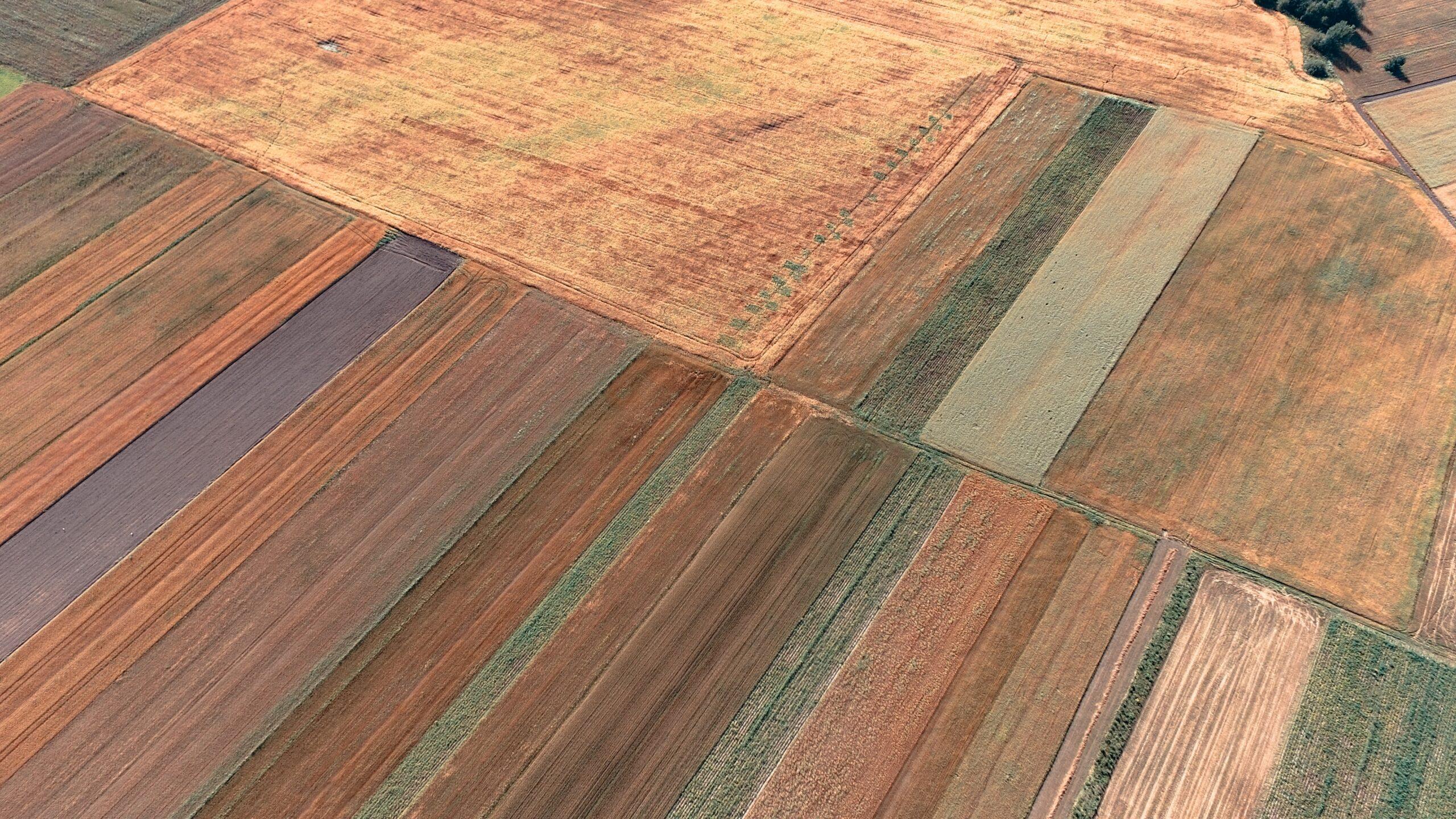 Deslinde de fincas y cartografía